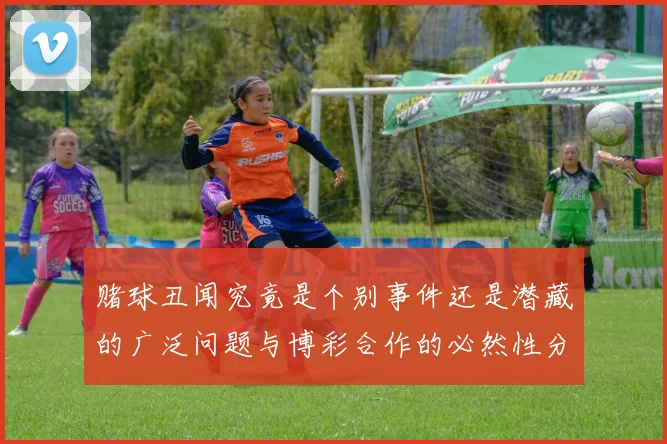 赌球丑闻究竟是个别事件还是潜藏的广泛问题与博彩合作的必然性分析