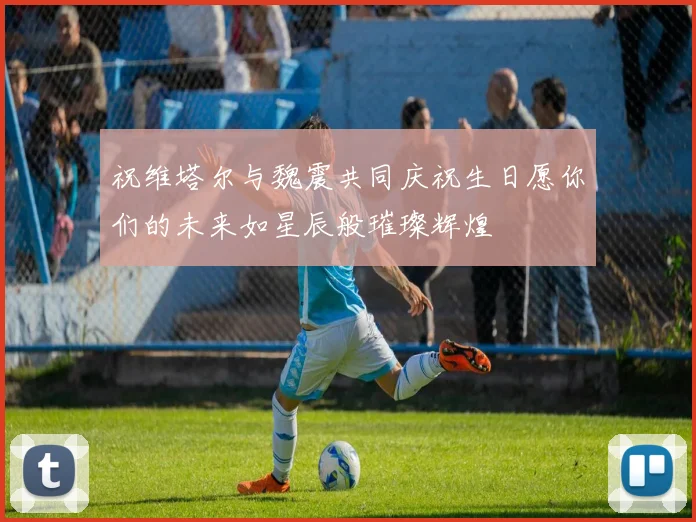 祝维塔尔与魏震共同庆祝生日愿你们的未来如星辰般璀璨辉煌