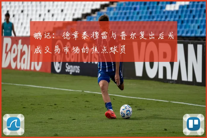 鹕记:德章泰穆雷与普尔复出后或成交易市场的焦点球员