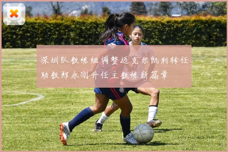 深圳队教练组调整迈克尔凯利转任助教郑永刚升任主教练新篇章