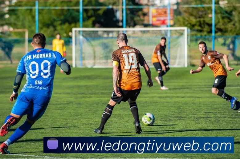 乐动体育全站App