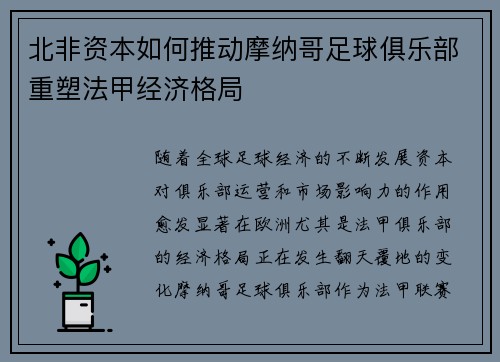 北非资本如何推动摩纳哥足球俱乐部重塑法甲经济格局